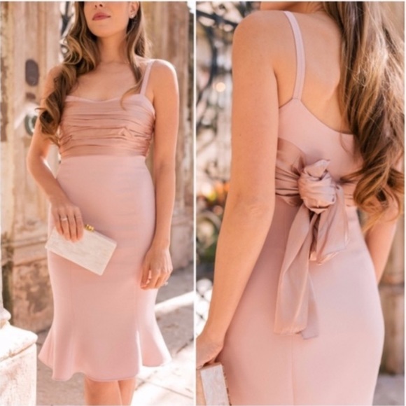 cinq a sept Dresses & Skirts - NWT Cinq a Sept Blush Pink Dress